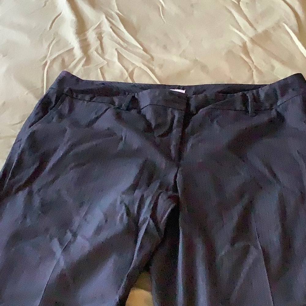Ann Taylor Julie slacks